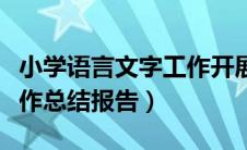 小学语言文字工作开展情况（小学语言文字工作总结报告）