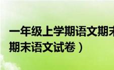 一年级上学期语文期末考试题（一年级上学期期末语文试卷）