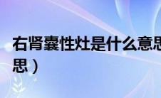 右肾囊性灶是什么意思（右肾错构瘤是什么意思）