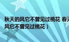 秋天的风它不曾见过桃花 春天的雨却温柔那片黄沙（秋天的风它不曾见过桃花）