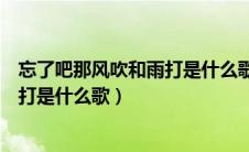 忘了吧那风吹和雨打是什么歌里的歌词（忘了吧那风吹和雨打是什么歌）