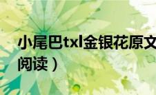 小尾巴txl金银花原文（系草和校草全文免费阅读）