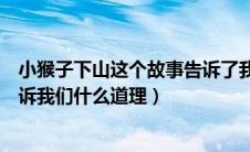 小猴子下山这个故事告诉了我们什么（小猴子下山的故事告诉我们什么道理）