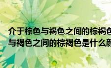 介于棕色与褐色之间的棕褐色是什么颜色的图片（介于棕色与褐色之间的棕褐色是什么颜色）