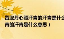 留取丹心照汗青的汗青是什么意思的短视频（留取丹心照汗青的汗青是什么意思）