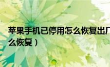 苹果手机已停用怎么恢复出厂设置方法（苹果手机已停用怎么恢复）