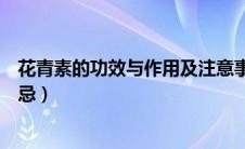 花青素的功效与作用及注意事项（花青素的功效与作用及禁忌）