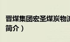 晋煤集团宏圣煤炭物流（晋煤集团宏圣公司的简介）