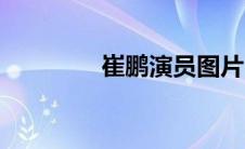 崔鹏演员图片（崔鹏演员）