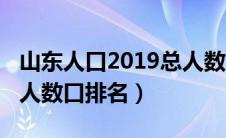 山东人口2019总人数多少（山东人口2019总人数口排名）