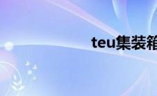 teu集装箱（TEU）