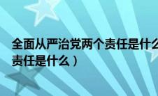 全面从严治党两个责任是什么时候提出（全面从严治党两个责任是什么）