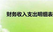 财务收入支出明细表模板（明细表模板）