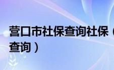 营口市社保查询社保（营口社保查询个人账户查询）