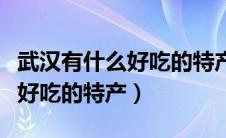 武汉有什么好吃的特产去哪里买（武汉有什么好吃的特产）