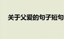 关于父爱的句子短句（关于父爱的短句）