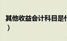 其他收益会计科目是什么（其他收益会计科目）