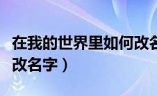 在我的世界里如何改名（怎么在我的世界里面改名字）