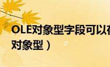 OLE对象型字段可以存放什么类型文件（ole对象型）