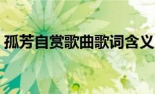 孤芳自赏歌曲歌词含义（孤芳自赏歌曲歌词）