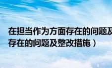 在担当作为方面存在的问题及整改措施中（在担当作为方面存在的问题及整改措施）