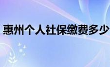 惠州个人社保缴费多少（个人社保缴费多少）