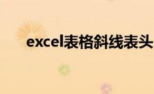 excel表格斜线表头（excel表格斜线）