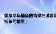 想象翠鸟捕鱼的情景在试着用几个动词写一段话（想象翠鸟捕鱼的情景）