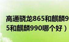 高通骁龙865和麒麟990哪个强（高通骁龙865和麒麟990哪个好）