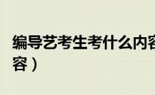 编导艺考生考什么内容（编导专业艺考考试内容）