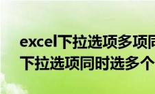 excel下拉选项多项同时选（怎么在excel中下拉选项同时选多个）