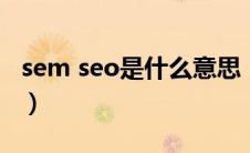 sem seo是什么意思（seo和sem是什么意思）