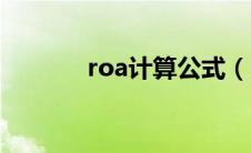 roa计算公式（roe计算公式）