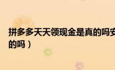 拼多多天天领现金是真的吗安全吗（拼多多天天领现金是真的吗）