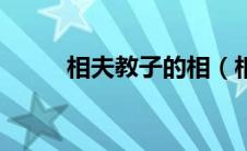 相夫教子的相（相夫教子下一句）