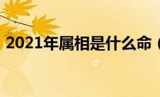 2021年属相是什么命（2021年属相是什么）