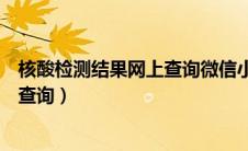 核酸检测结果网上查询微信小程序（核酸检测结果怎么网上查询）