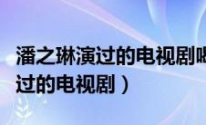 潘之琳演过的电视剧喝酒那段视频（潘之琳演过的电视剧）