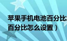 苹果手机电池百分比怎么设置（苹果11电池百分比怎么设置）