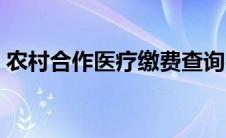 农村合作医疗缴费查询平台（农村医保查询）