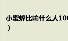 小蜜蜂比喻什么人100字（小蜜蜂比喻什么人）