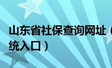 山东省社保查询网址（山东省社保信息查询系统入口）