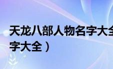 天龙八部人物名字大全图片（天龙八部人物名字大全）