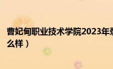 曹妃甸职业技术学院2023年录取线（曹妃甸职业技术学院怎么样）