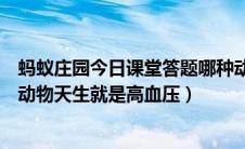 蚂蚁庄园今日课堂答题哪种动物天生就有高血压（以下哪种动物天生就是高血压）