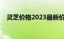 灵芝价格2023最新价格表（白灵芝价格）