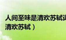 人间至味是清欢苏轼词古诗文网（人间至味是清欢苏轼）