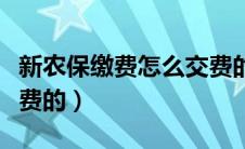 新农保缴费怎么交费的呢（新农保缴费怎么交费的）