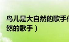 鸟儿是大自然的歌手作文300字（鸟儿是大自然的歌手）