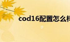 cod16配置怎么样（cod16配置）